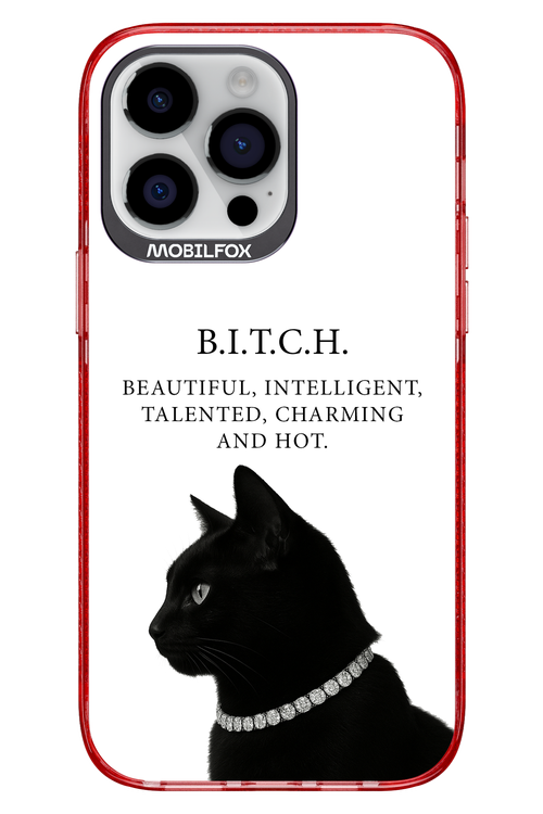 B. i. t. c. h. - Apple iPhone 14 Pro Max