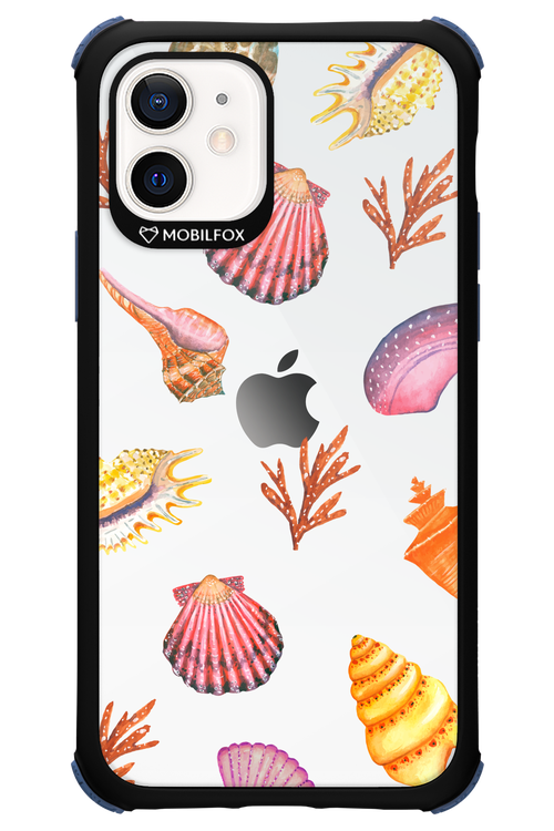 Sea Shells - Apple iPhone 12