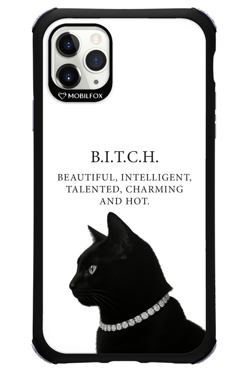B. i. t. c. h. 2.0 - Apple iPhone 11 Pro Max