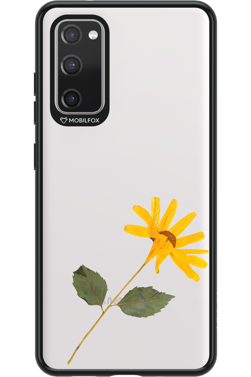 Pressed Flower - Samsung Galaxy S20 FE