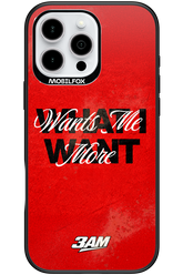 WHAT I WANT 2.0 - Apple iPhone 16 Pro Max