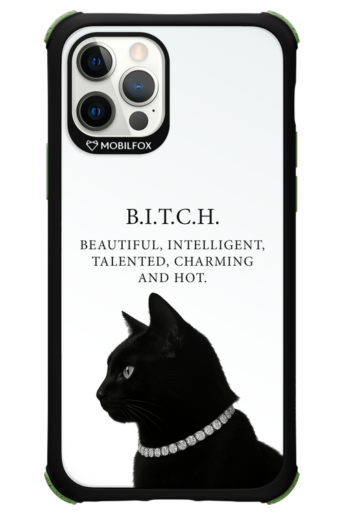 B. i. t. c. h. - Apple iPhone 12 Pro