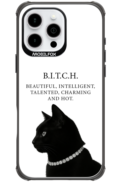 B. i. t. c. h. - Apple iPhone 16 Pro Max