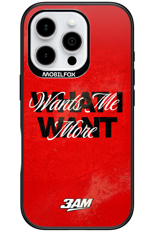 WHAT I WANT 2.0 - Apple iPhone 16 Pro
