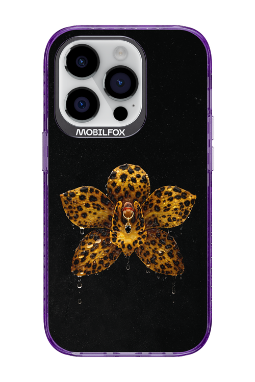 Wet & Wild - Apple iPhone 14 Pro