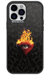 Shit happens - Apple iPhone 13 Pro Max