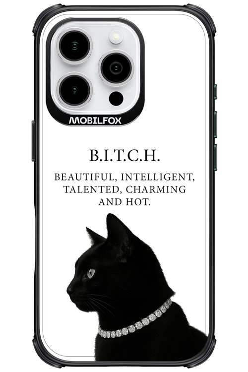 B. i. t. c. h. 2.0 - Apple iPhone 16 Pro