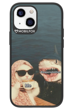 Responsibilities - Apple iPhone 13 Mini