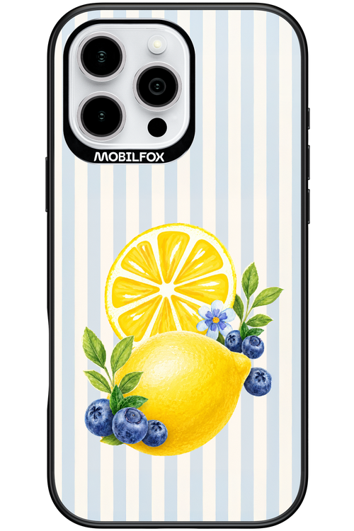 Fresh Flash 2.0 - Apple iPhone 16 Pro Max