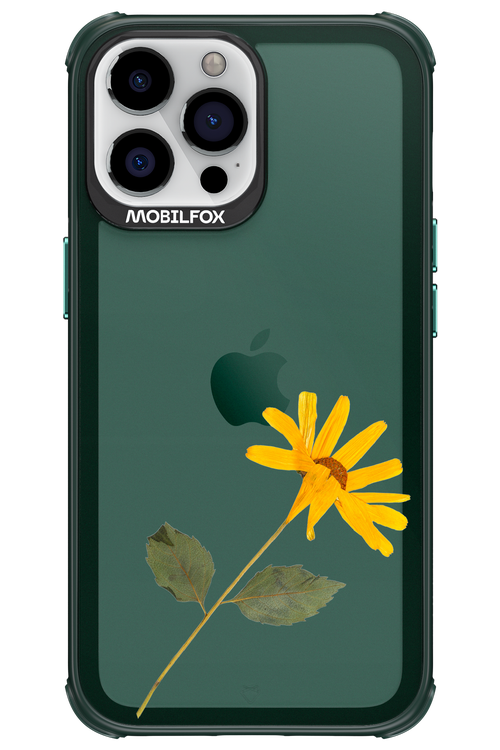 Pressed Flower - Apple iPhone 13 Pro Max