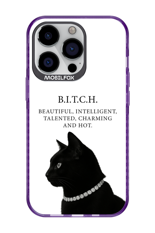 B. i. t. c. h. 2.0 - Apple iPhone 13 Pro