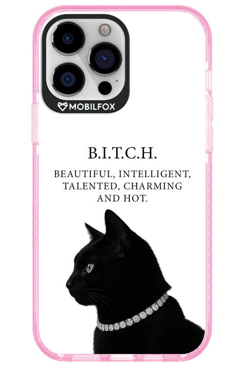 B. i. t. c. h. - Apple iPhone 13 Pro Max