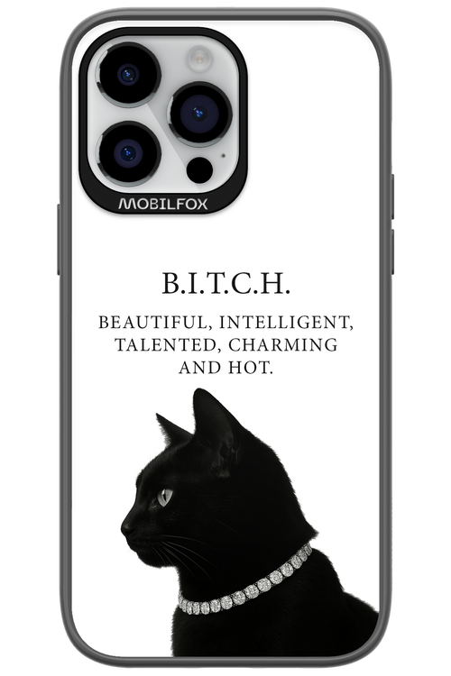 B. i. t. c. h. - Apple iPhone 14 Pro Max