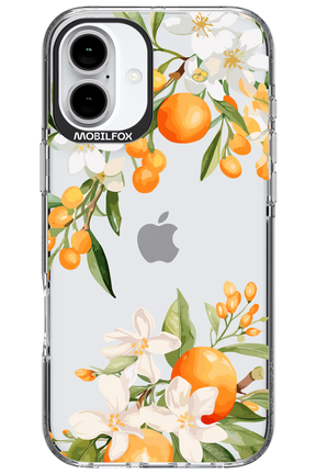 Amalfi Orange - Apple iPhone 16 Plus