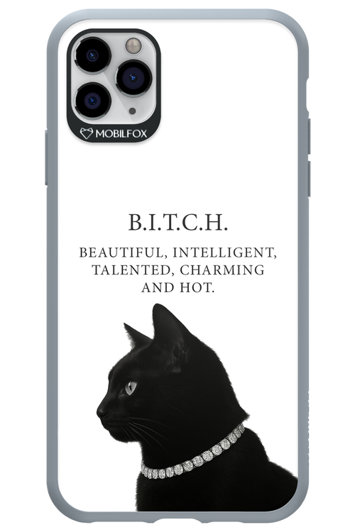 B. i. t. c. h. - Apple iPhone 11 Pro Max