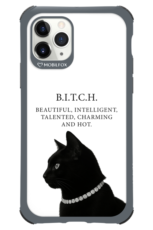 B. i. t. c. h. - Apple iPhone 11 Pro