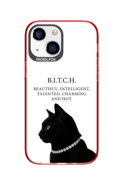 B. i. t. c. h. - Apple iPhone 13 Mini