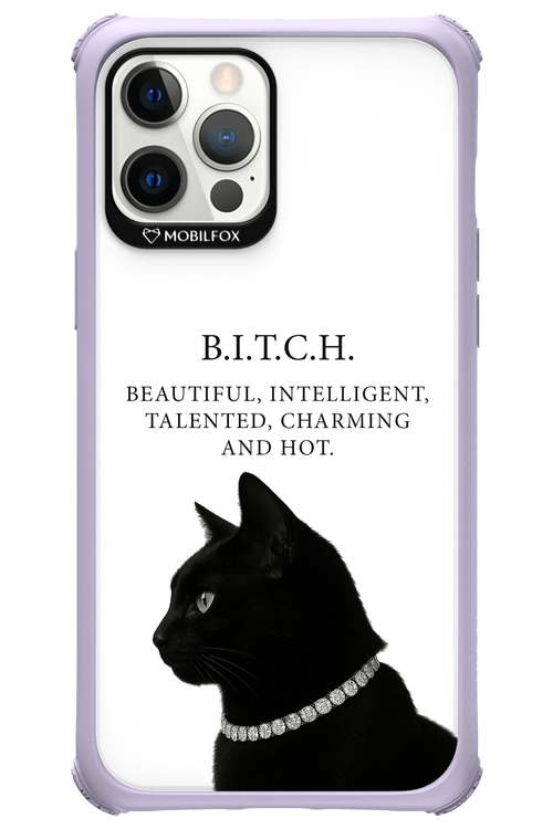 B. i. t. c. h. - Apple iPhone 12 Pro Max