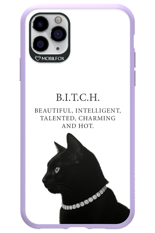B. i. t. c. h. 2.0 - Apple iPhone 11 Pro Max