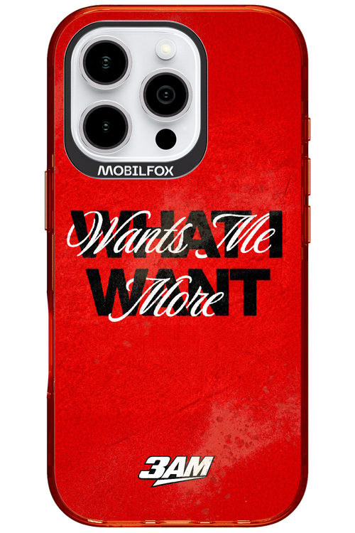 WHAT I WANT 2.0 - Apple iPhone 16 Pro