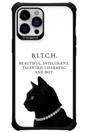 B. i. t. c. h. - Apple iPhone 12 Pro Max