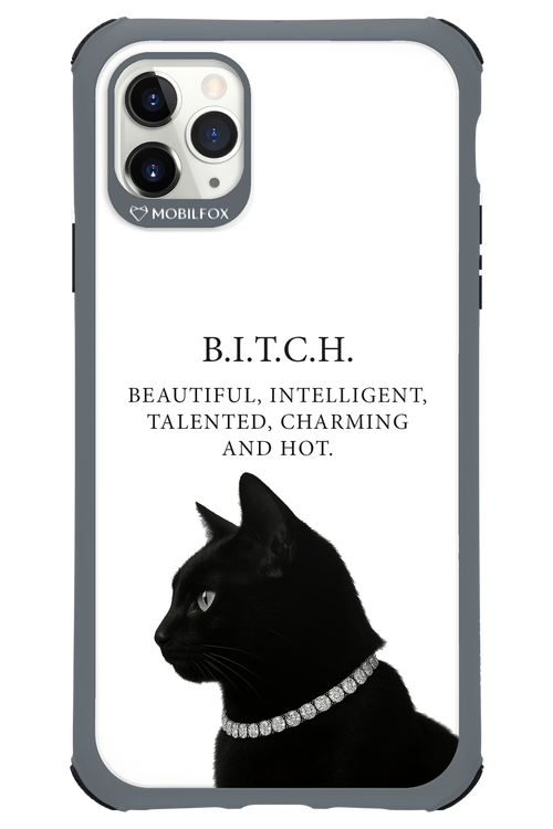 B. i. t. c. h. - Apple iPhone 11 Pro Max