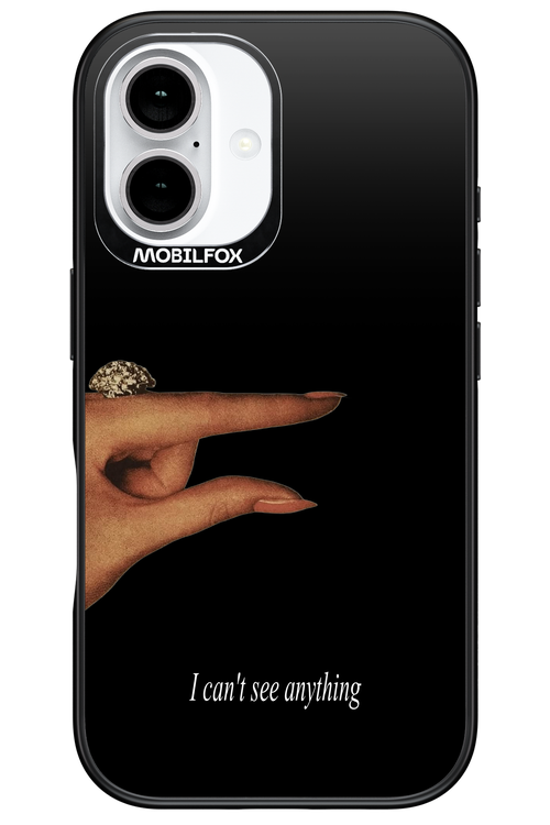 I can't see anything 2.0 - Apple iPhone 16