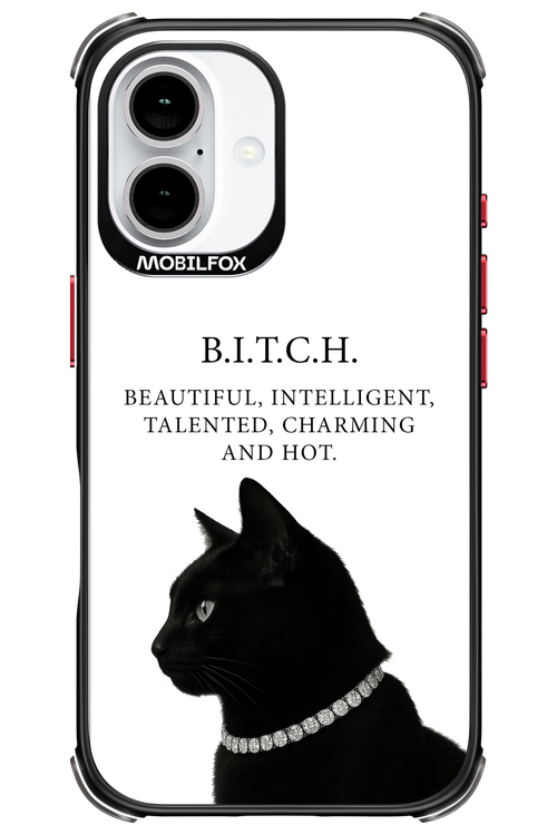 B. i. t. c. h. - Apple iPhone 16