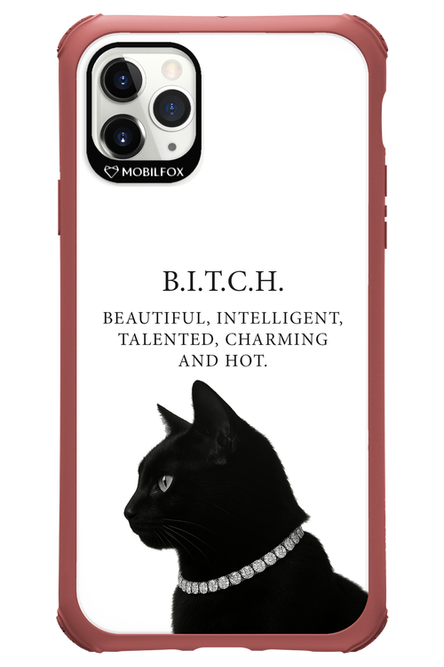 B. i. t. c. h. - Apple iPhone 11 Pro Max