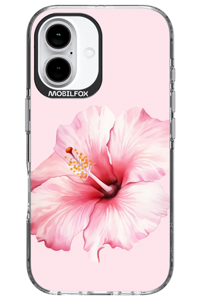 HibiPinky - Apple iPhone 16