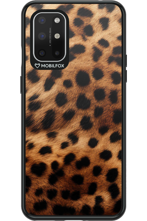 Cheetah 2.0 - OnePlus 8T