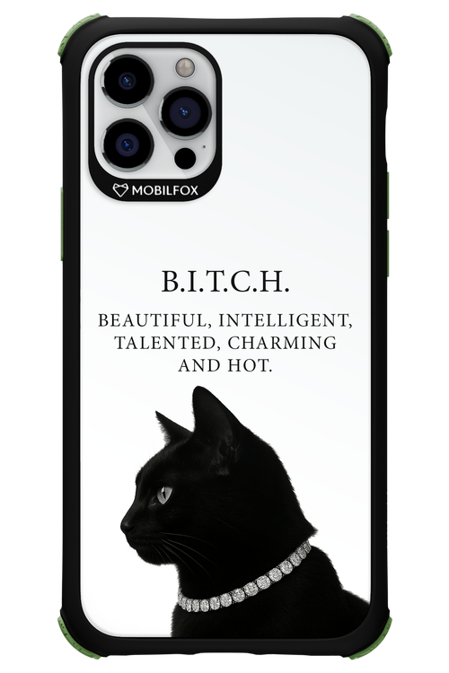 B. i. t. c. h. - Apple iPhone 12 Pro