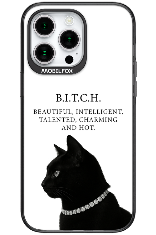 B. i. t. c. h. - Apple iPhone 15 Pro Max