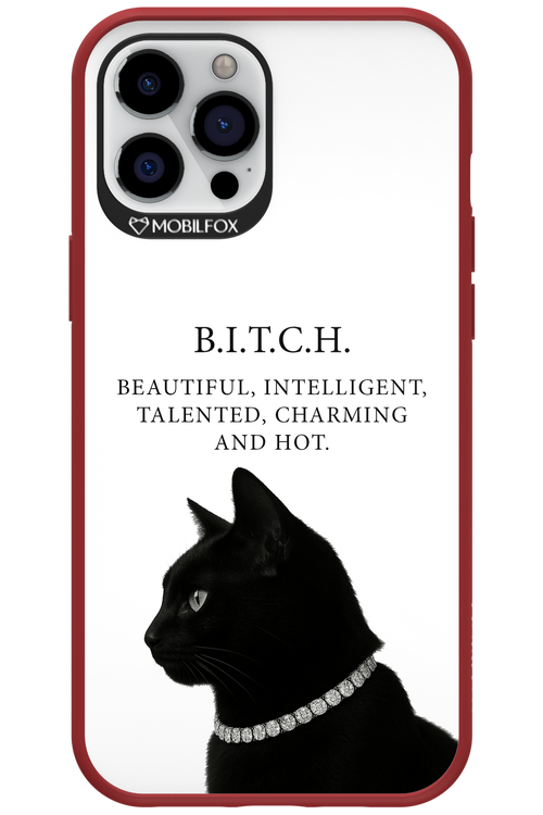 B. i. t. c. h. - Apple iPhone 12 Pro Max