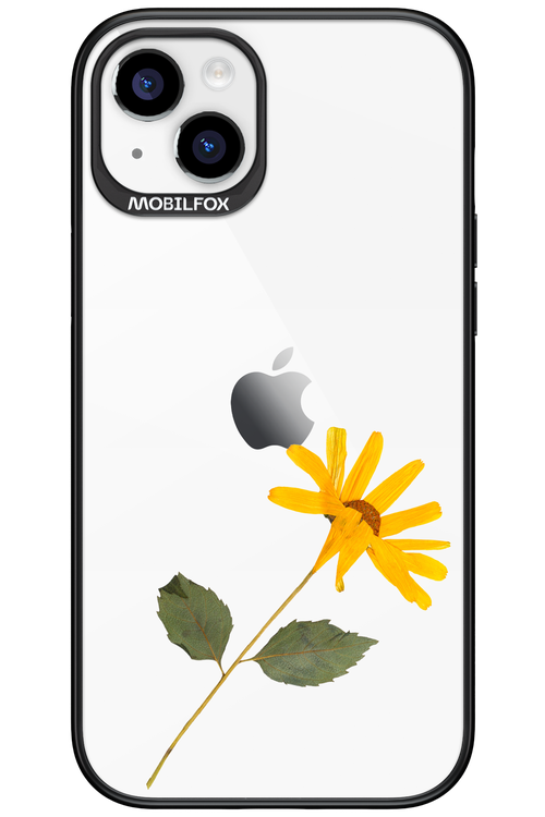 Pressed Flower - Apple iPhone 15 Plus