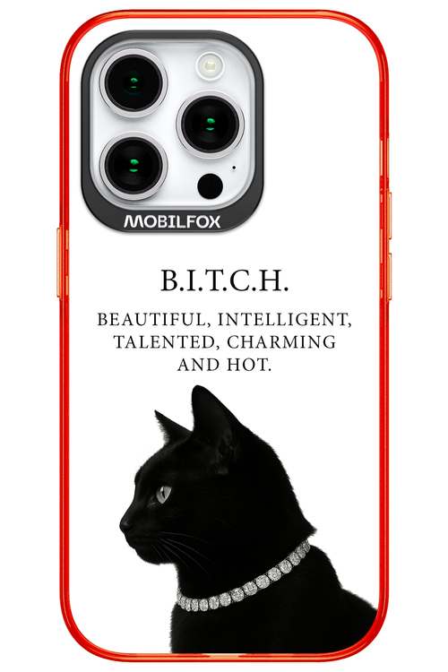 B. i. t. c. h. 2.0 - Apple iPhone 15 Pro