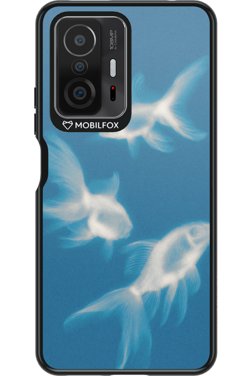 Lady of the Lake 2.0 - Xiaomi Mi 11T Pro