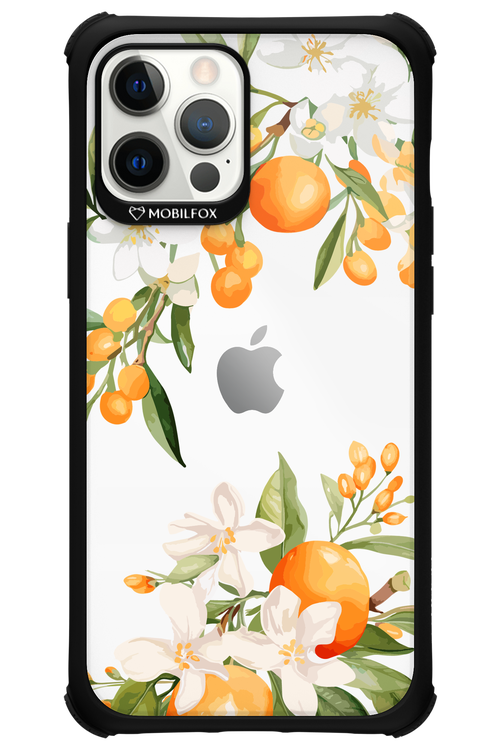 Amalfi Orange - Apple iPhone 12 Pro Max