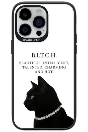 B. i. t. c. h. - Apple iPhone 14 Pro Max