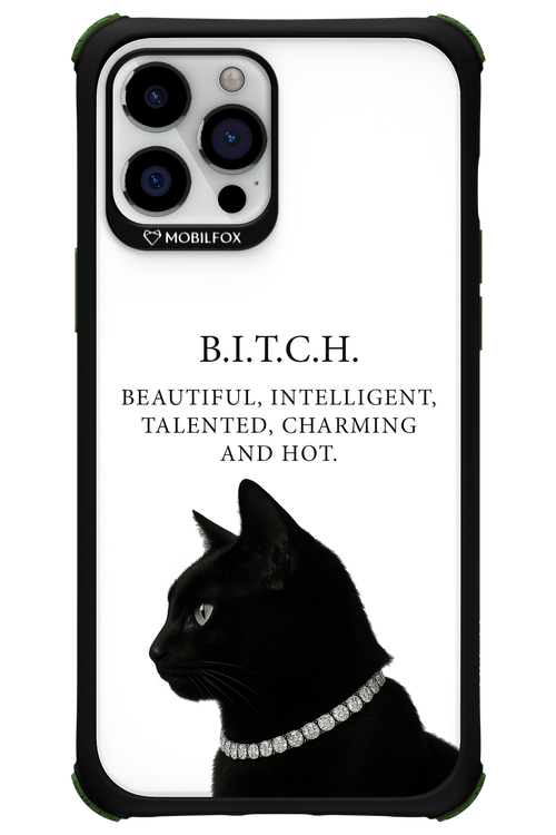 B. i. t. c. h. - Apple iPhone 12 Pro Max