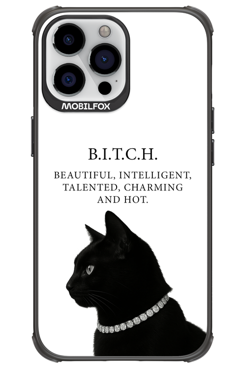 B. i. t. c. h. - Apple iPhone 13 Pro Max