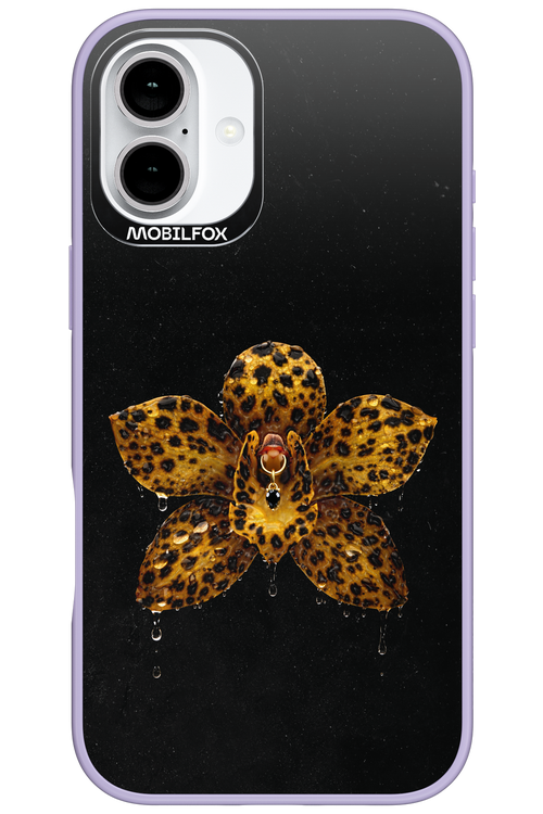 Wet & Wild 2.0 - Apple iPhone 16 Plus