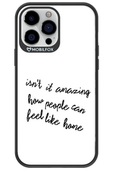 Isn't It 2.0 - Apple iPhone 13 Pro Max