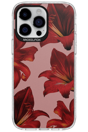 Amaryllis Mist - Apple iPhone 14 Pro Max