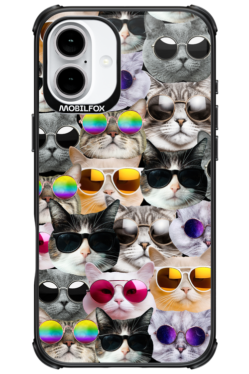 Cat World - Apple iPhone 16 Plus