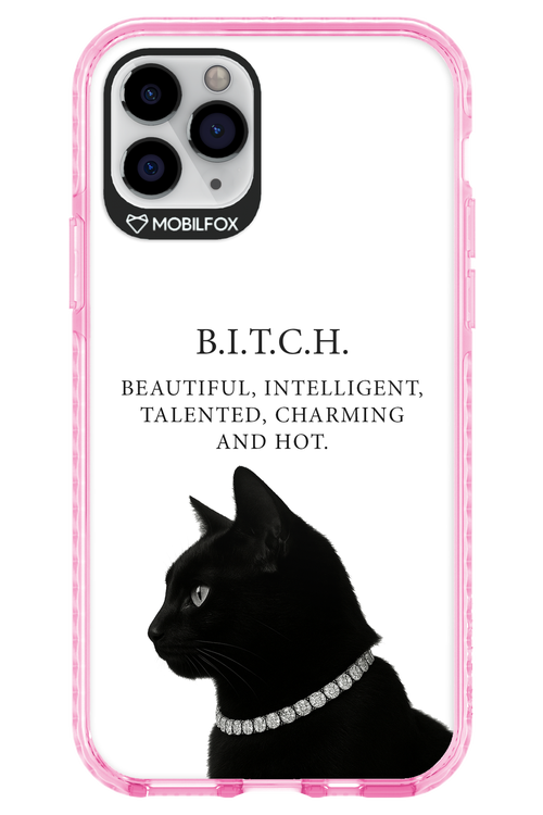 B. i. t. c. h. - Apple iPhone 11 Pro