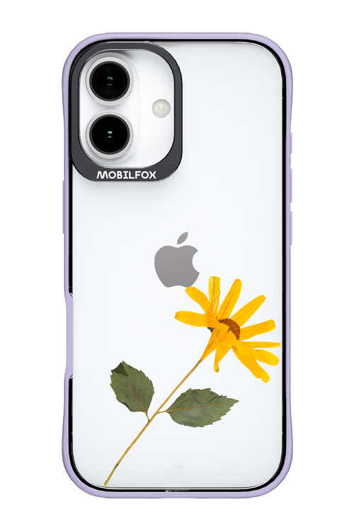 Pressed Flower - Apple iPhone 17