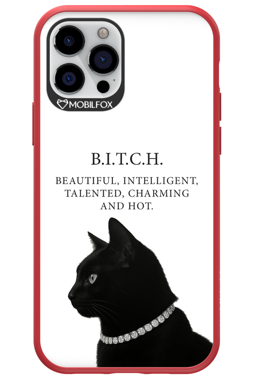 B. i. t. c. h. - Apple iPhone 12 Pro