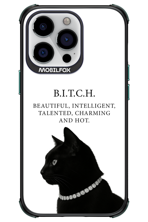 B. i. t. c. h. - Apple iPhone 13 Pro