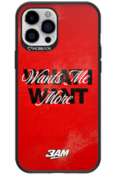 WHAT I WANT 2.0 - Apple iPhone 12 Pro Max